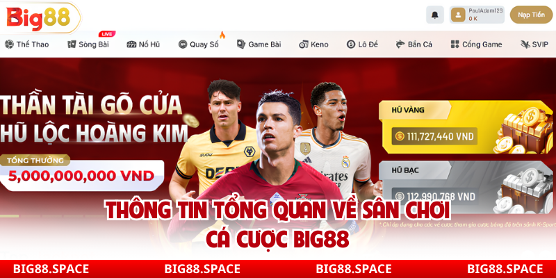 Thông tin tổng quan về sân chơi cá cược Big88