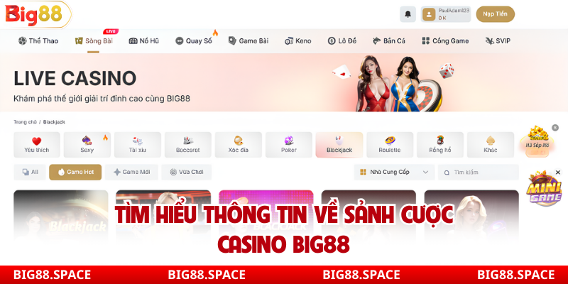 Tìm hiểu thông tin về sảnh cược casino Big88