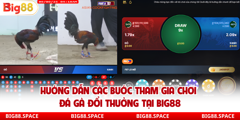 Hướng dẫn các bước tham gia chơi đá gà đổi thưởng tại Big88