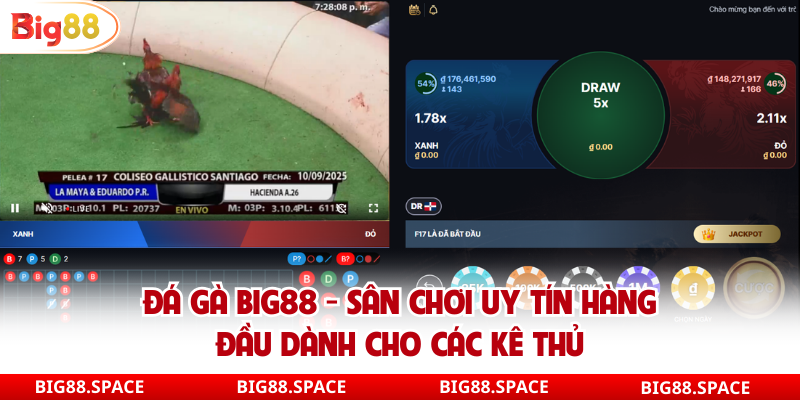 Đá gà big88 sảnh đá gà đẳng cấp nhất việt nam