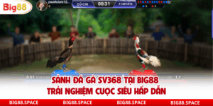 Sảnh đá gà sv368 tại big88 thưởng lớn mỗi ngày