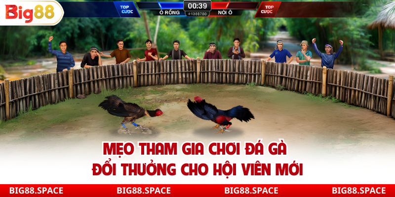 Mẹo tham gia chơi đá gà đổi thưởng cho hội viên mới