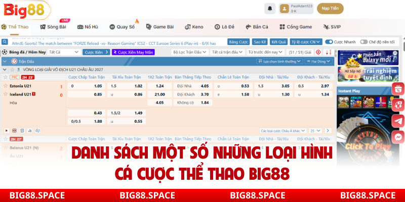 Danh sách một số những loại hình cá cược thể thao Big88