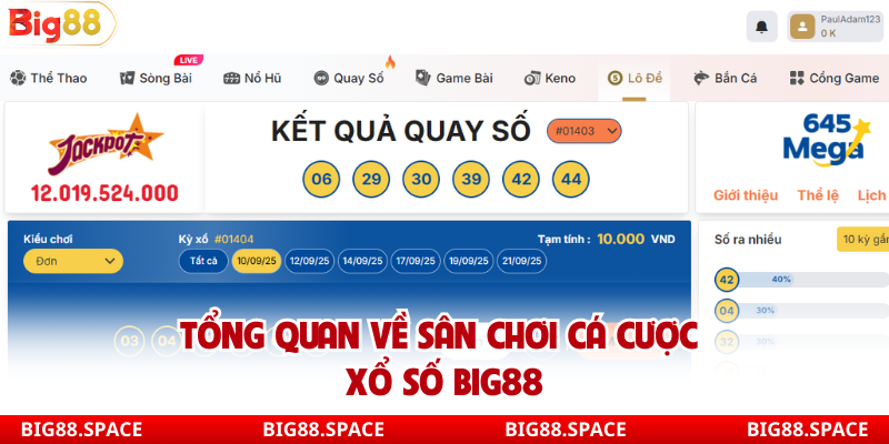 Tổng quan về sân chơi cá cược xổ số Big88